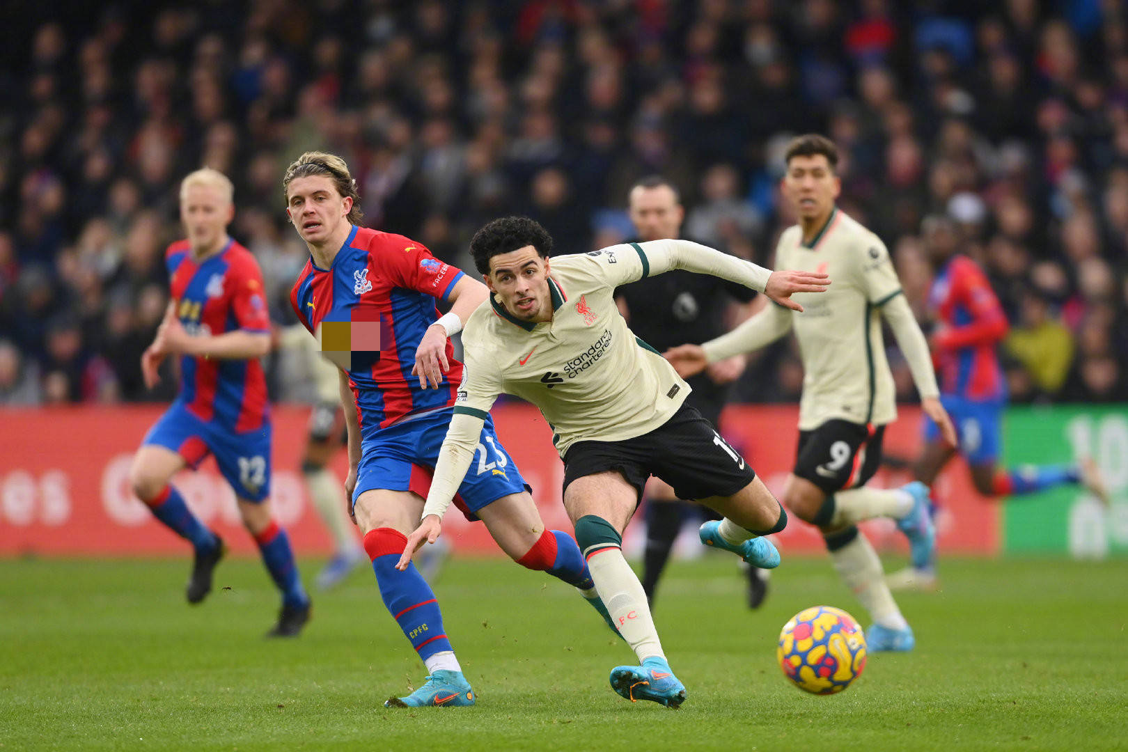 虽然交易的 虽然交易的